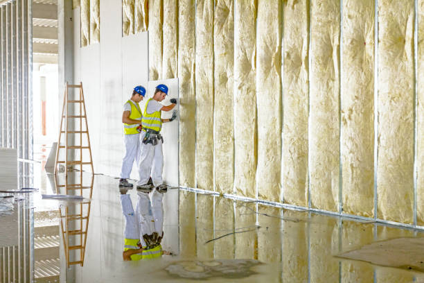 Best Types of Insulation in San Castle, FL